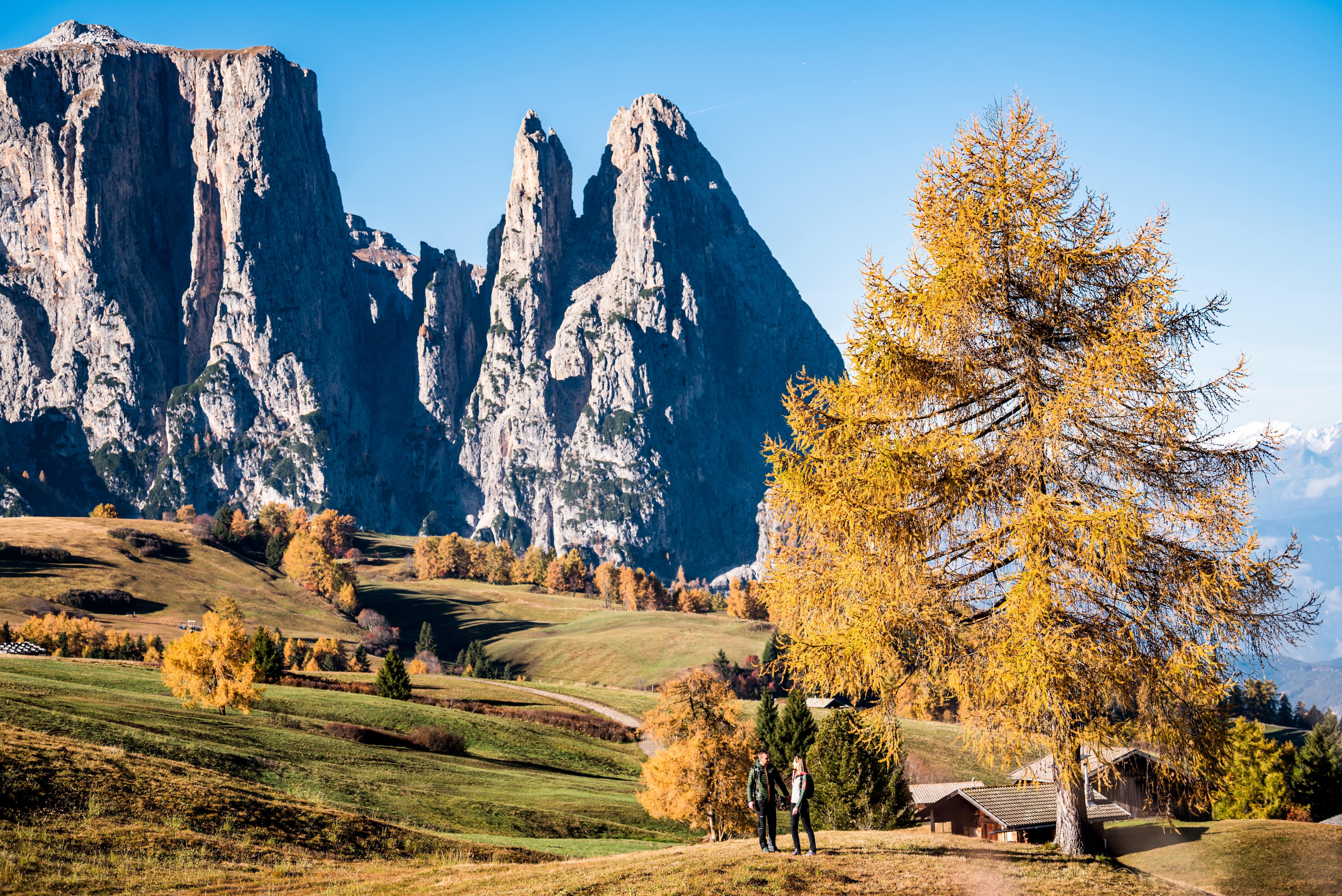 Hotel Steger-Dellai Alpe Di Siusi Dış mekan fotoğraf
