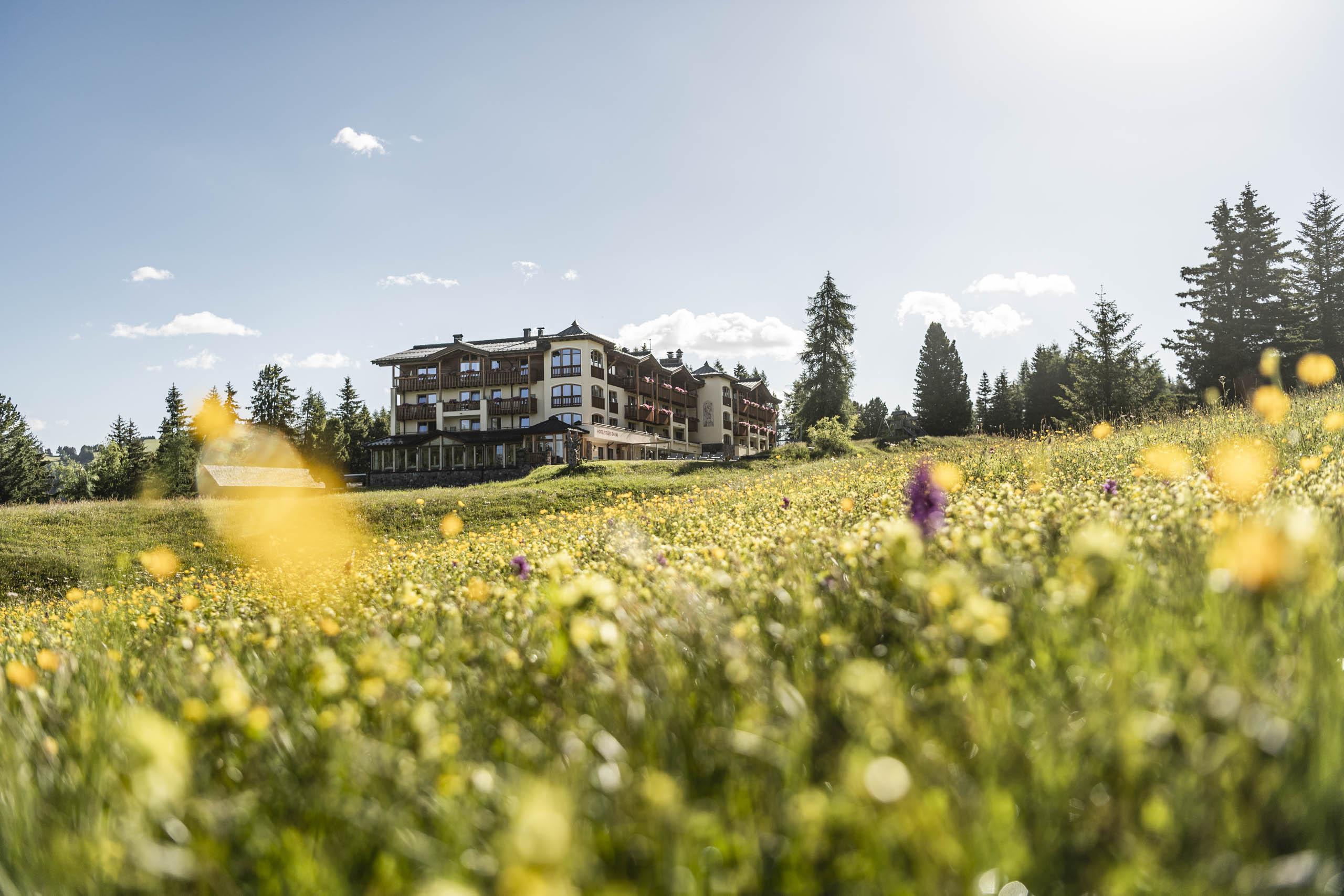 Hotel Steger-Dellai Alpe Di Siusi Dış mekan fotoğraf